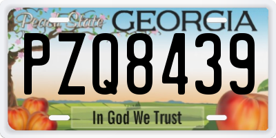 GA license plate PZQ8439