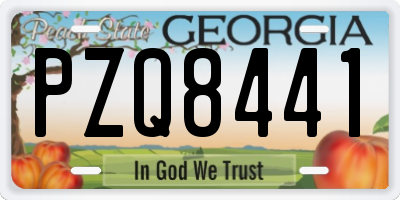 GA license plate PZQ8441