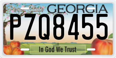 GA license plate PZQ8455