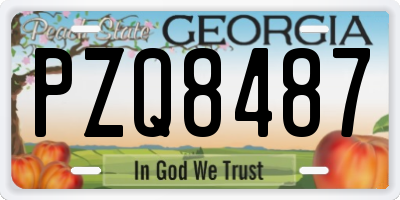 GA license plate PZQ8487