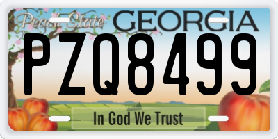 GA license plate PZQ8499