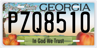 GA license plate PZQ8510