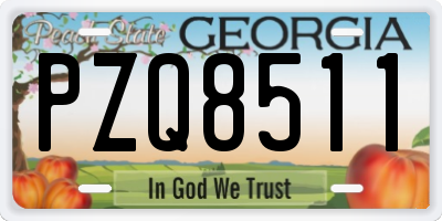 GA license plate PZQ8511
