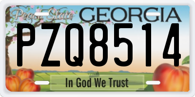 GA license plate PZQ8514