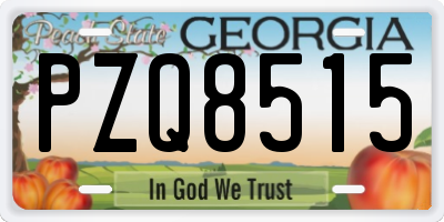 GA license plate PZQ8515