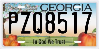 GA license plate PZQ8517