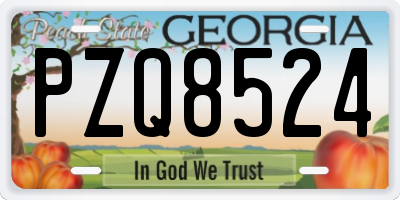GA license plate PZQ8524