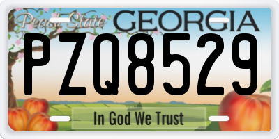 GA license plate PZQ8529