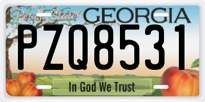GA license plate PZQ8531