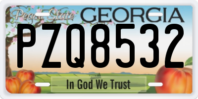 GA license plate PZQ8532