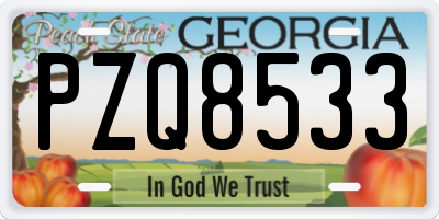 GA license plate PZQ8533