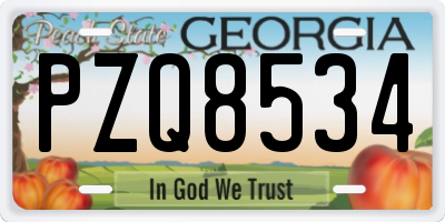 GA license plate PZQ8534