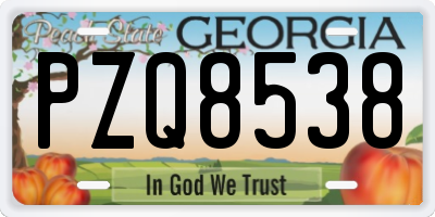 GA license plate PZQ8538
