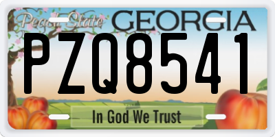 GA license plate PZQ8541