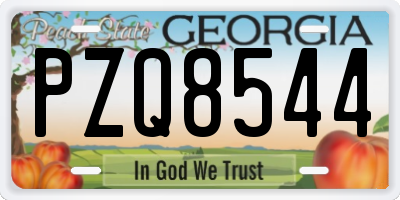 GA license plate PZQ8544