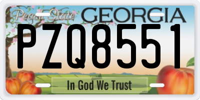GA license plate PZQ8551