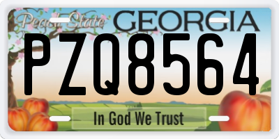 GA license plate PZQ8564
