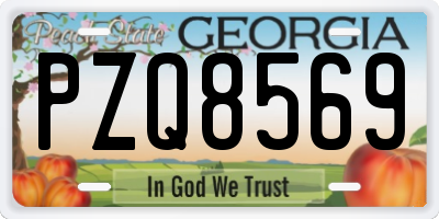 GA license plate PZQ8569
