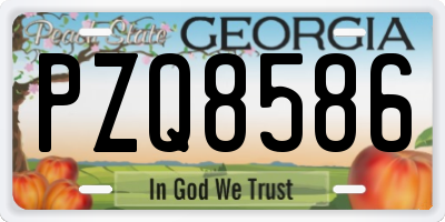 GA license plate PZQ8586