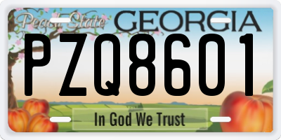 GA license plate PZQ8601