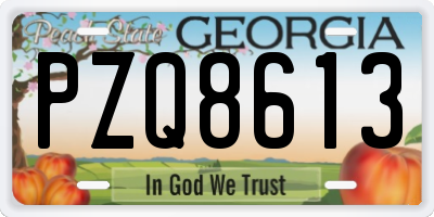 GA license plate PZQ8613