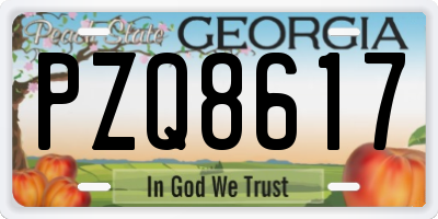 GA license plate PZQ8617