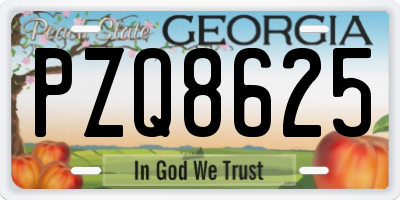 GA license plate PZQ8625