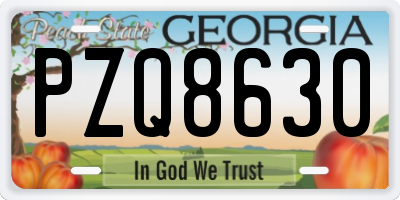 GA license plate PZQ8630