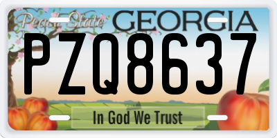 GA license plate PZQ8637