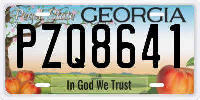 GA license plate PZQ8641