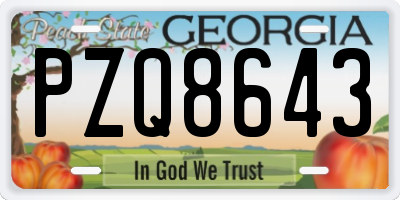 GA license plate PZQ8643
