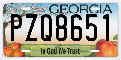 GA license plate PZQ8651