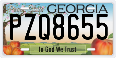 GA license plate PZQ8655