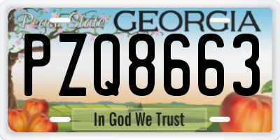 GA license plate PZQ8663