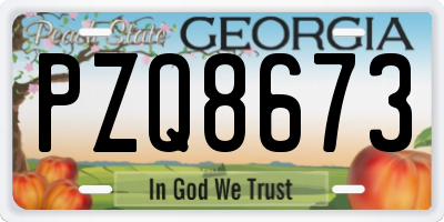 GA license plate PZQ8673
