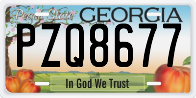 GA license plate PZQ8677