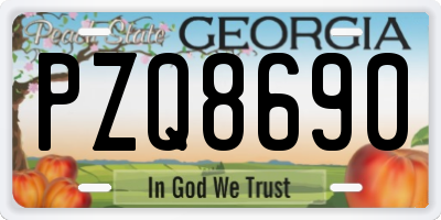 GA license plate PZQ8690