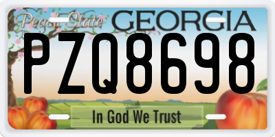 GA license plate PZQ8698