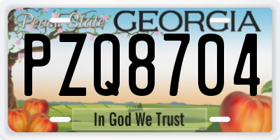 GA license plate PZQ8704