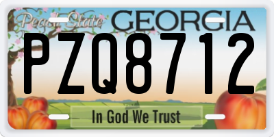 GA license plate PZQ8712