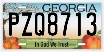 GA license plate PZQ8713