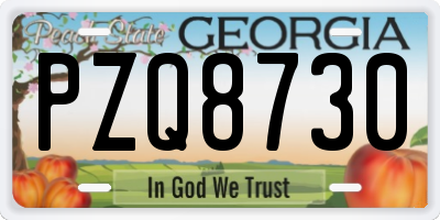GA license plate PZQ8730