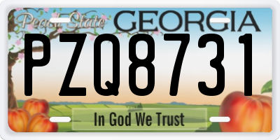 GA license plate PZQ8731