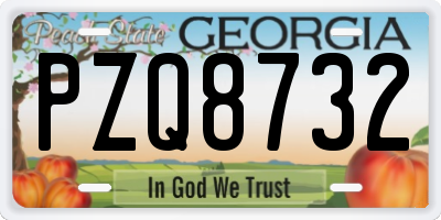 GA license plate PZQ8732