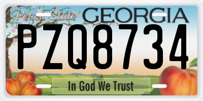 GA license plate PZQ8734