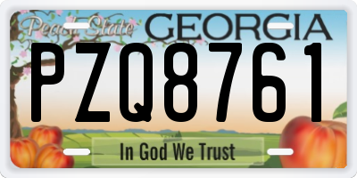 GA license plate PZQ8761