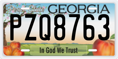 GA license plate PZQ8763