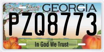 GA license plate PZQ8773