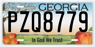 GA license plate PZQ8779