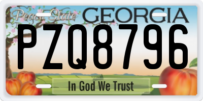 GA license plate PZQ8796